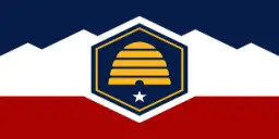 Daughters-of-the-American-Revolution-flag-chapter-1913